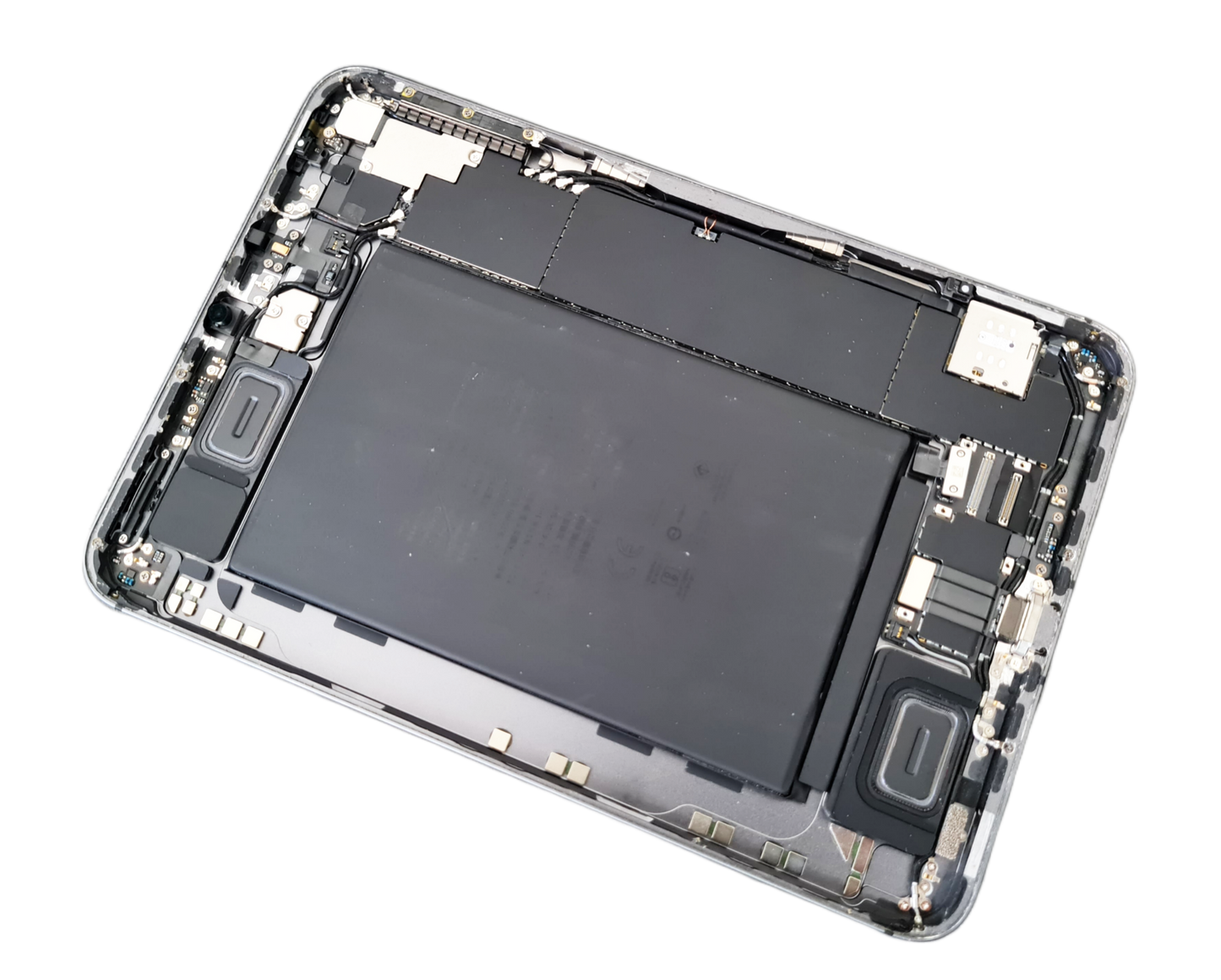 Apple iPad 5 (Air) Ladebuchsen Reparatur