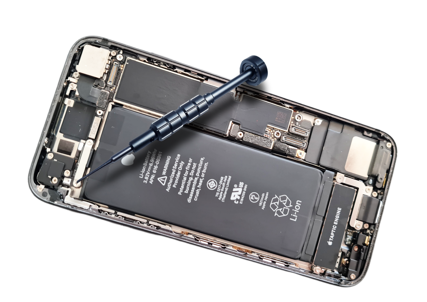Apple iPhone 8 Display Reparatur