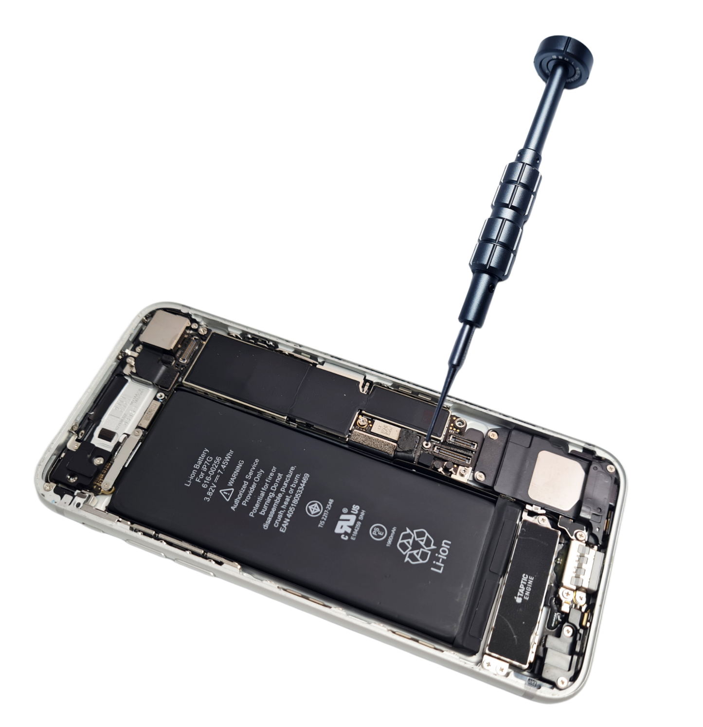 Apple iPhone 7 Wasserschaden